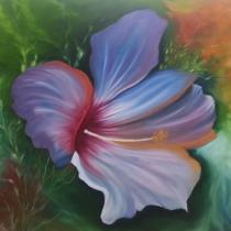 Hibiscusblüte