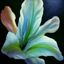 Lilienblüte